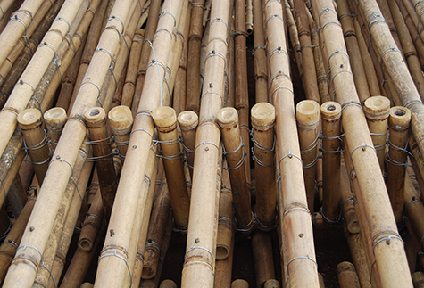 Bambusprojekt in Äthiopien - 